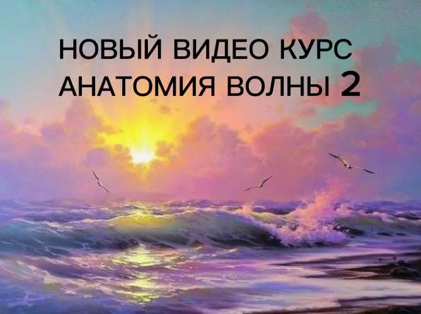 [Виталий Антипин] Анатомия волны 2 (2023)_0.jpg